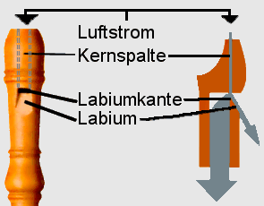 Funktionsweise der Schnabelflöten